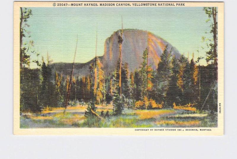 VINTAGE POSTCARD NATIONAL STATE PARK YELLOWSTONE MOUNT HAYNES MADISON CANYON #2