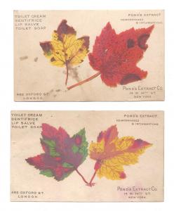 Ponds Extract Advertising Patent Medicine 2 Victorian Trade Cards Autumn Leaves