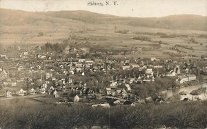 Sidney NY Aerial View in 1909 Real Photo Postcard