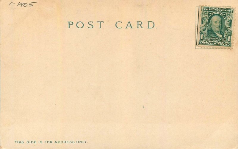 Postcard C-1905 Massachusetts Worcester Lincoln Bridge Fish Hatchery 23-12670