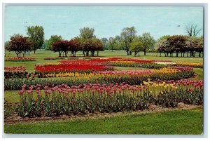 Fort Wayne Indiana IN Postcard May Time Is Tulip Time In Forest Park Scene 1964