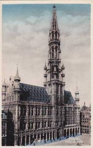 Belgium Bruxelles Hotel de ville Real Photo