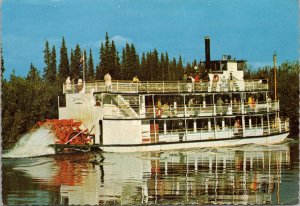 Riverboat Discovery Cruises Alaska Postcard PC476