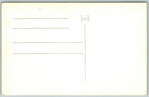 Ilha Terceira, Acores Azores, Map - Postcard 