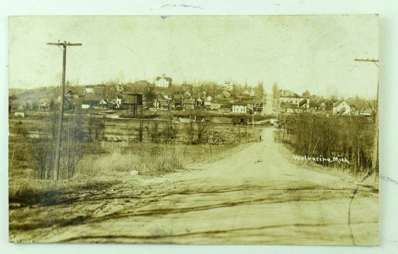 Circa 1910 RPPC Wolverine, Michigan Town View Train Depot Real Photo Postcard F1