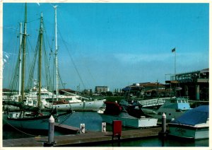 Ventura, California, Ventura Marina, Woody Gillette, small boat Postcard