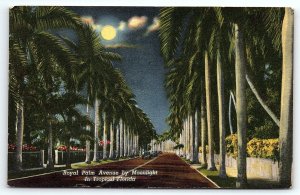 1940s MIAMI FL ROYAL PALM AVE BY MOONLIGHT TROPICAL FLORIDA POSTCARD P2645