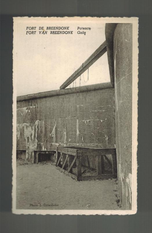 Mint 1940s Fort Breendonk Belgium Concentration Camp RPPC Postcard Gallows