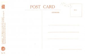 Rabbits, His First Suit , by Margaret Tempest