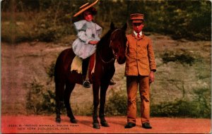 New York NY NYC Zoological Park Welch Pony 1910s Vtg Postcard UNP