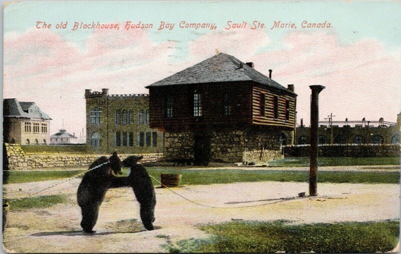 Sault Ste Marie ON Captive Bears Hudson's Bay Company Block House Postcard G66