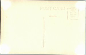 RPPC Winter Stream, Greetings from Iron River MI Vintage Postcard D30