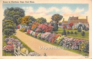 Path with Flowers - Chatham, Massachusetts MA  