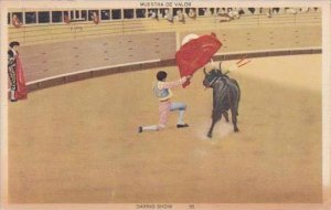 Bull Fight Daring Show Muestra De Valor 1941