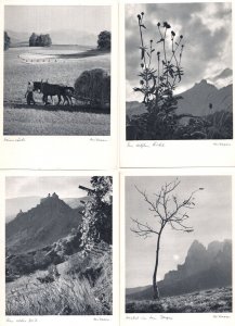 Walter Niessen Verlag German Germany Farm 4x Old Postcard s