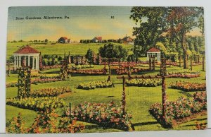 Allentown Pennsylvania Rose Garden 1940s to Brockton Pa Postcard N12