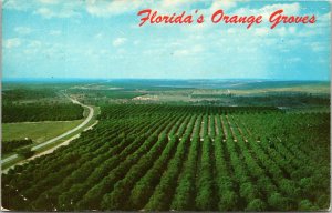Florida Orange Groves FL From Citrus Tower Postard VTG UNP Koppel Vintage Unused 