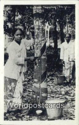 Rubber Tapping Singapore Unused 