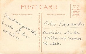 Sardine Cannery Fish Drying California 1910c postcard