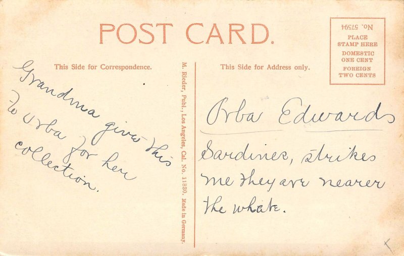 Sardine Cannery Fish Drying California 1910c postcard