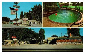 Postcard SWIMMING POOL SCENE Lovelock Nevada NV AT5653