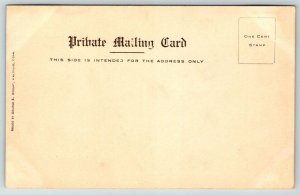 New Stone Bridge  Hartford   Connecticut   Postcard  c1905