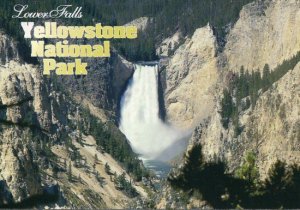WYOMING: Lower Falls Yellowstone National Park