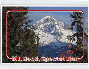 Postcard Mount Hood at First Snow Oregon USA