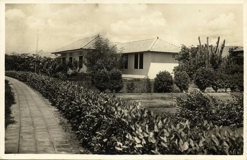 curacao, N.W.I., Modern Living Houses (1940s) RPPC Postcard