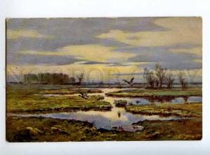 224620 RUSSIA Burkhardt duck hunting #24 rare vintage postcard