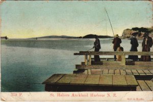 PC NEW ZEALAND, ST. HELIERS AUCKLAND HARBOUR, Vintage Postcard (B41536)