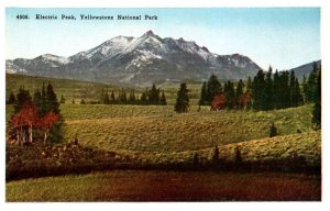 Yellowstone National Park,   Electric Peak