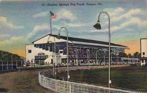 Florida Tampa Sulphur Springs Dog Track Curteich