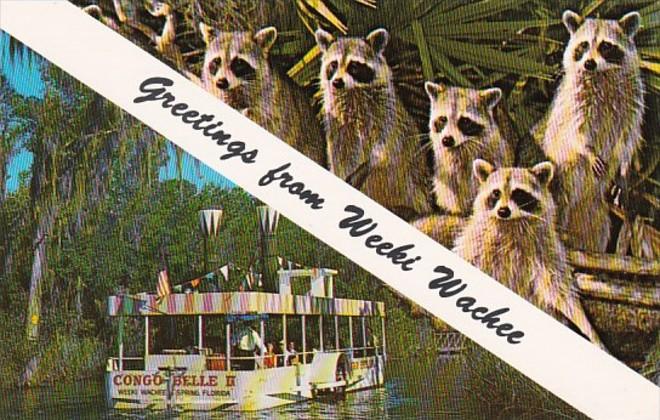Florida Greetings From Weeki Wachee Raccoons Galore & Congo Belle Glass Botto...