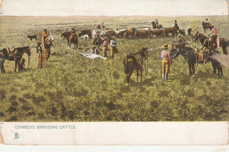 Cowboys branding cattle Tuck apholette Ranching in the West Ser. PC # 5215