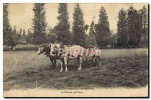 Old Postcard Folklore Normandy recollte horse hay