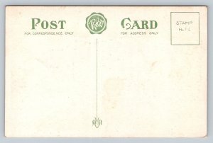 Free Masons  Masonic Temple   Johnsbury  Vermont   Postcard