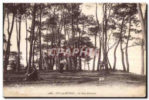 Old Postcard Ile aux Moines Le Bois D Amour