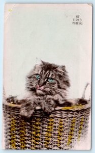 RPPC So Tired Waiting TINTED CAT in BASKET Davidson Bros. Brothers Postcard