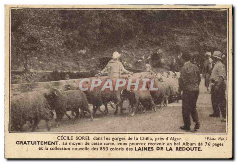 Old Postcard Advertisement Cecile Sorel in the gorge near Cliffa d & # 39Alge...