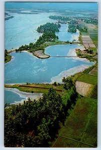 Quy Nhon Vietnam Postcard Typical Terrain Shot Along Coastal Plain c1950's