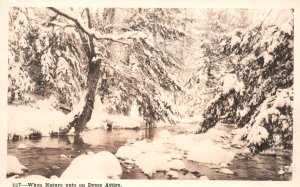 Postcard Real Photo Snow in Woods When Nature Puts on Dress Attire RPPC