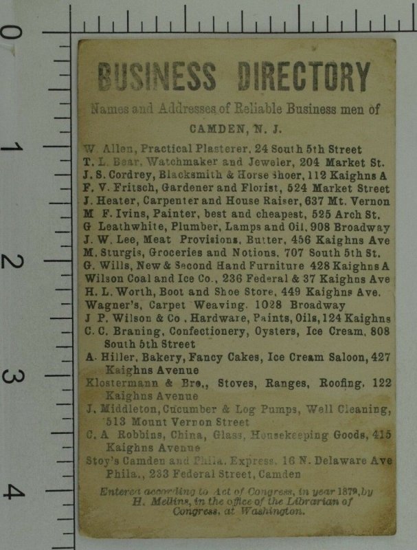 1879 Wilson Coal & Ice Co. Business Directory On Back Monkey & Parrot Mess P98