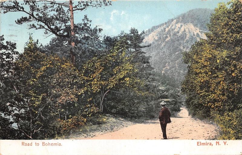 Elmira New York~Man Standing in Road to Bohemia~Forest & Mountain~1913 Postcard