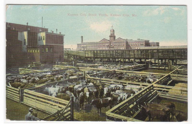 Stock Yards Kansas City Missouri 1912 postcard