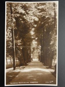 Cambridge: THE AVENUE, TRINITY COLLEGE Old RP Postcard By Walter Scott 140515