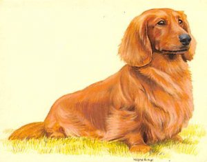 Approx. Size: 2.5 x 3 Dachshunds, (Modern 1999 Card)  Late 1800's Tradecard N...