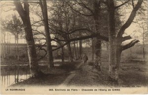 CPA Env.de Flers Chaussee de l'Etang de Ginne FRANCE (1054486)