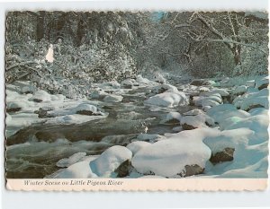 Postcard Winter Scene on Little Pigeon River, Tennessee