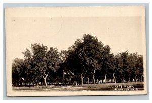 Vintage 1917 RPPC Postcard Trees in the City Park in Schaller Iowa